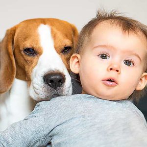 ارتباط سگ با کودک